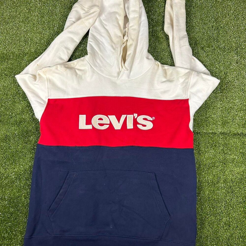 Levi-s Men's multi Hoodie